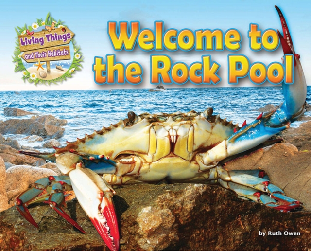 Welcome to the Rock Pool - Ruth Owen