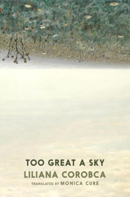 Too Great A Sky - Liliana Corobca