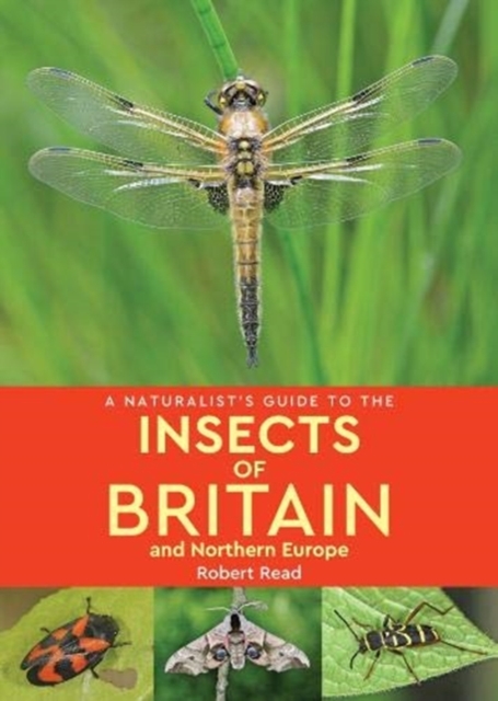 Naturalist's Guide to the Insects of Britain and Northern Europe (2nd edition) - Robert Read