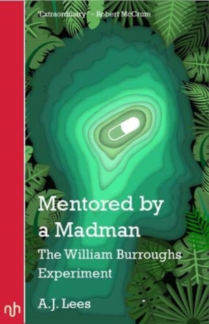 Mentored by a Madman - A. J. Lees