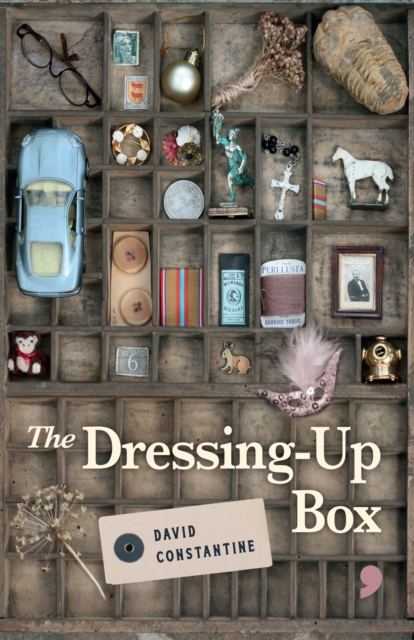 Dressing-Up Box - David Constantine