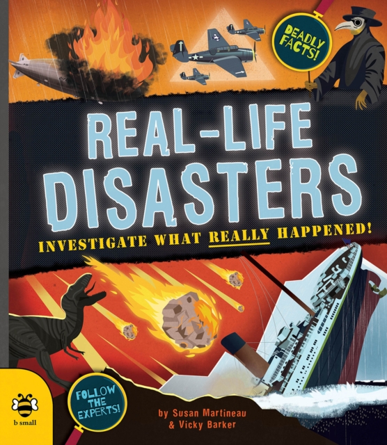 Real-life Disasters - Susan Martineau