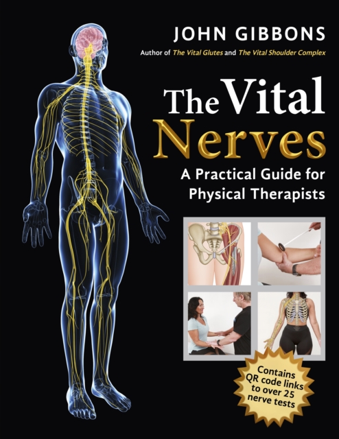 Vital Nerves - John Gibbons