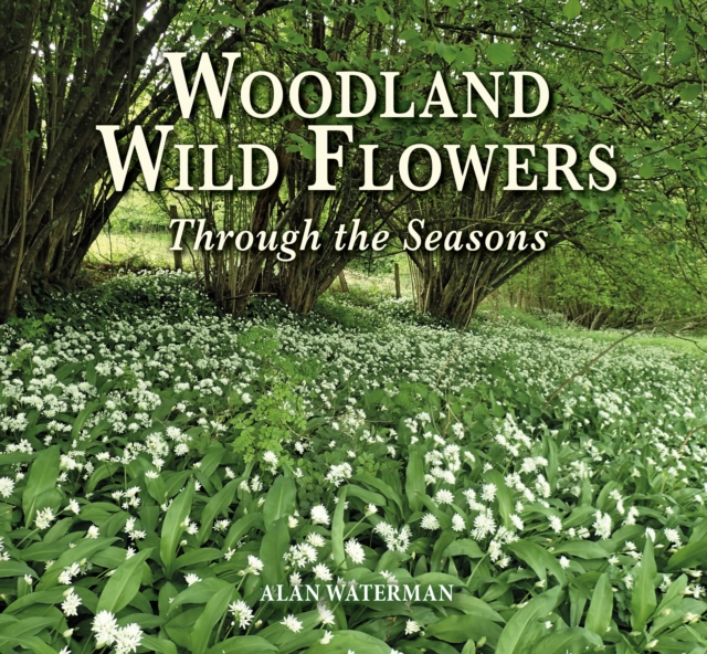 Woodland Wild Flowers - Alan Waterman
