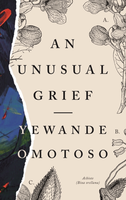 Unusual Grief - Yewande Omotoso