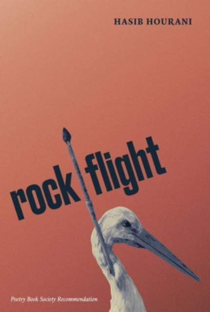 rock flight - Hasib Hourani