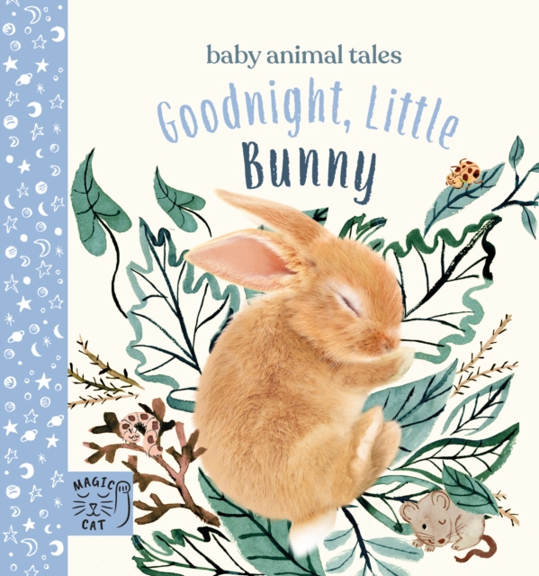 Goodnight, Little Bunny - Amanda Wood