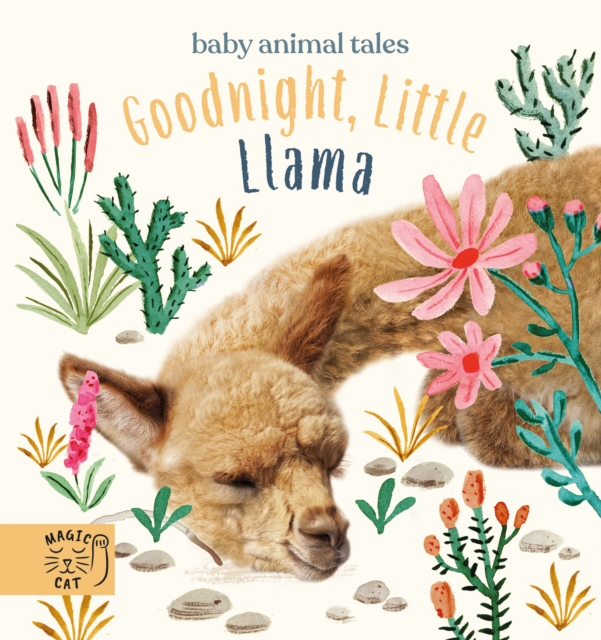 Goodnight, Little Llama - Amanda Wood