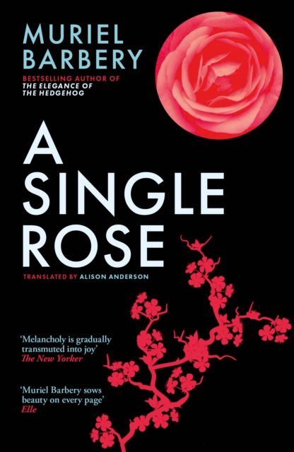 Single Rose - Muriel Barbery