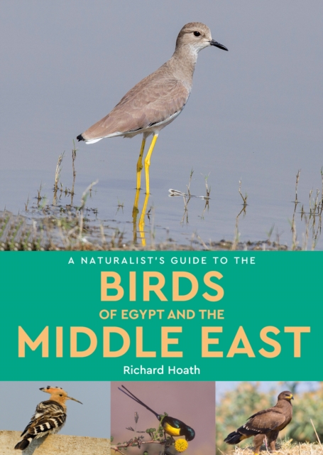 Naturalist's Guide to the Birds of Egypt and the Middle East - Richard Hoath