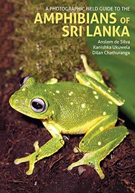 Photographic Field Guide to the Amphibians of Sri Lanka - Anselm|ukuwela De Silva