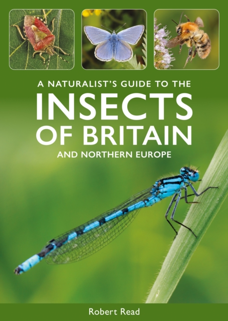 Coperta cărții 'Naturalist's Guide to the Insects of Britain and Northern Europe - Robert Read'