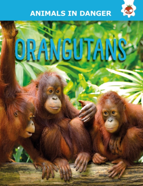 Orangutans - Emily Kington