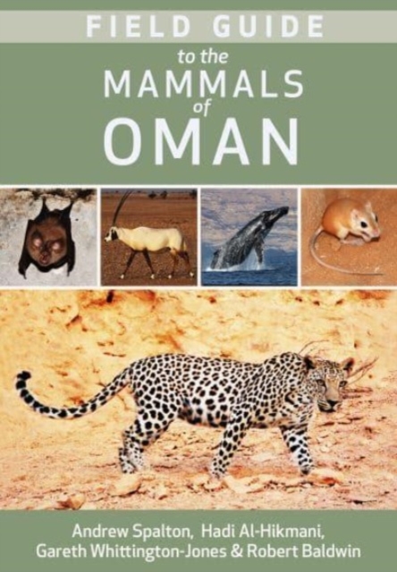 Field Guide to the Mammals of Oman - Andrew|al Hikmani Spalton