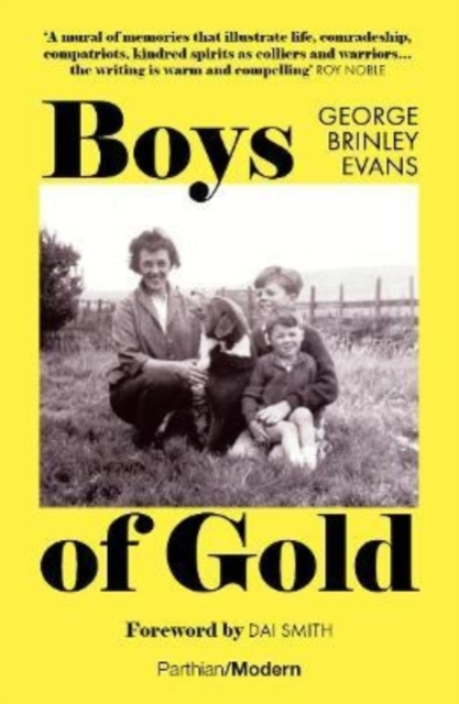 Boys of Gold - George Brinley Evans