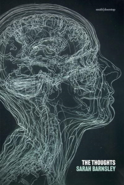 Thoughts - Sarah Barnsley