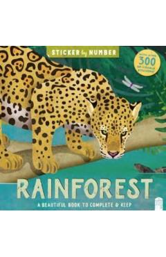 Coperta cărții 'Sticker By Number Rainforest - Kath Jewitt'