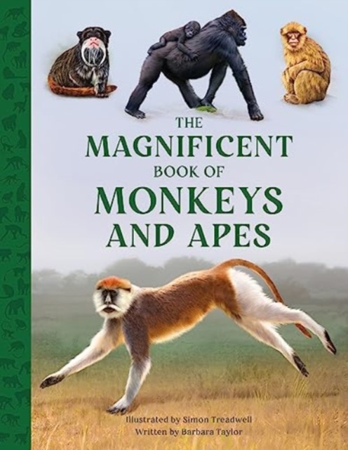 Magnificent Book of Monkeys and Apes - Barbara Taylor