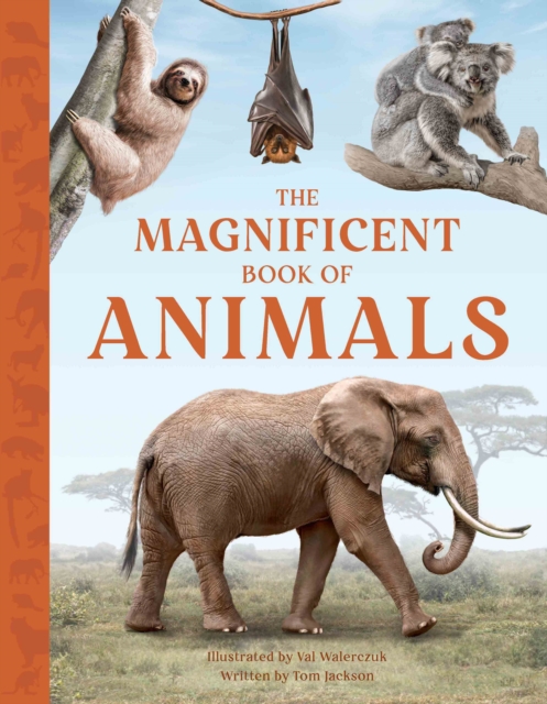 Magnificent Book of Animals - Tom Jackson