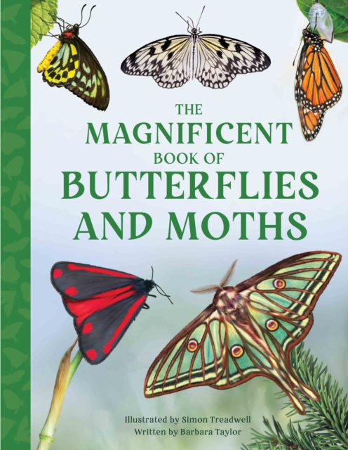 Magnificent Book of Butterflies and Moths - Barbara Taylor