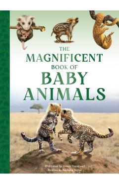 Poza produsului Magnificent Book of Baby Animals - Barbara Taylor