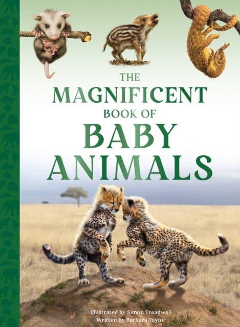 Magnificent Book of Baby Animals - Barbara Taylor