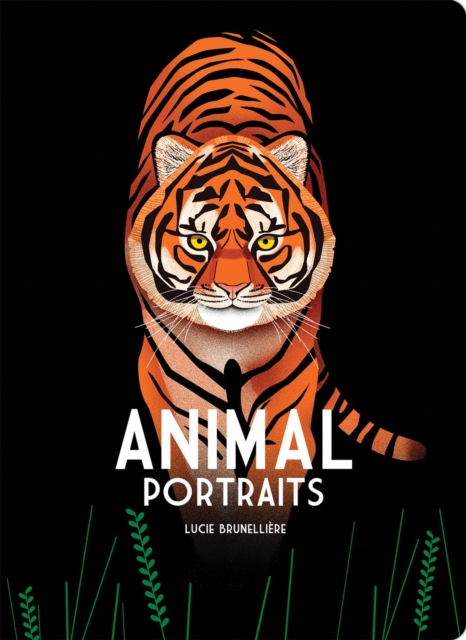 Animal Portraits - Lucie Brunelliere