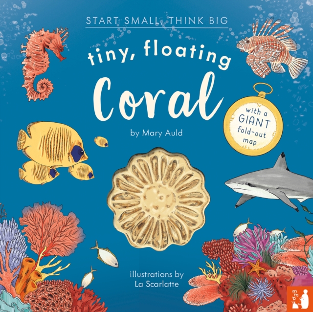 Tiny, Floating Coral - Mary Auld