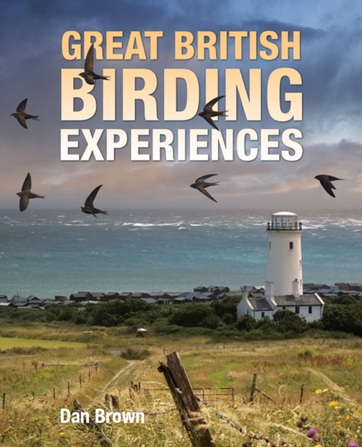 Coperta cărții 'Great British Birding Experiences - Dan Brown'