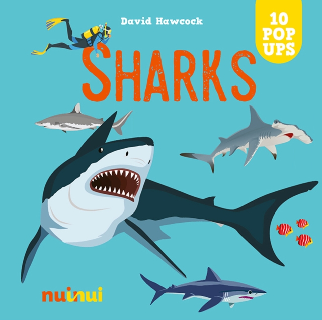 Sharks - David Hawcock