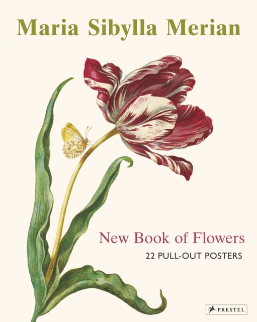 Maria Sibylla Merian - 