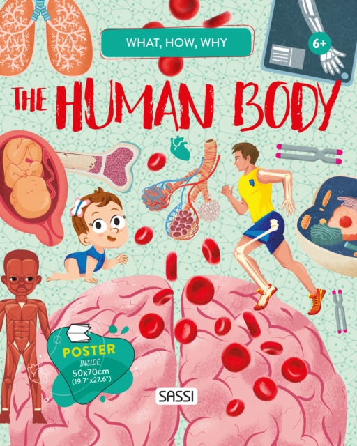 What, How, Why. The Human Body - 