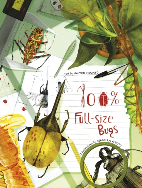 100% Full Size Bugs - Valter Fogato