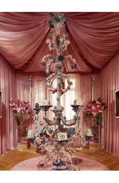 Coperta cărții 'Roger Vivier - Elizabeth Semmelhack'