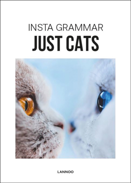 Insta Grammar Just Cats - Irene Schampaert