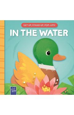 Coperta cărții 'In the water -'
