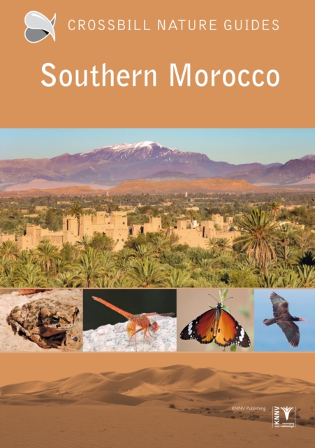 Southern Morocco - Martin Pitt