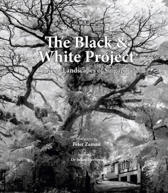 Black & White Project - 