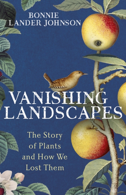 Vanishing Landscapes - Bonnie Lander Johnson