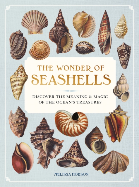 Wonder of Seashells - Melissa Hobson