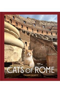 Cats of Rome - Traer Scott