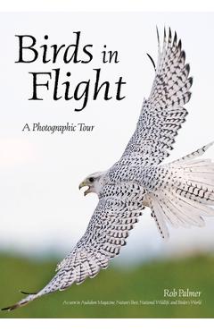 Coperta cărții 'Birds in Flight: A Photographic Essay of Hawks, Ducks, Eagles, Owls, Hummingbirds, & More - Rob Palmer'