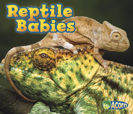 Reptile Babies - Catherine Veitch