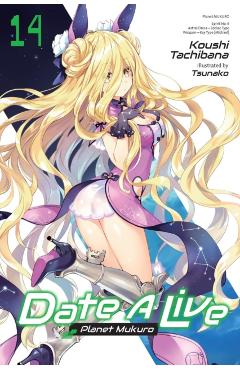 Date a Live, Vol. 14 (Light Novel) - Koushi Tachibana