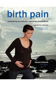 Coperta cărții 'Birth Pain: Explaining Sensations, Exploring Possibilities (2nd Ed) - Verena Schmid'