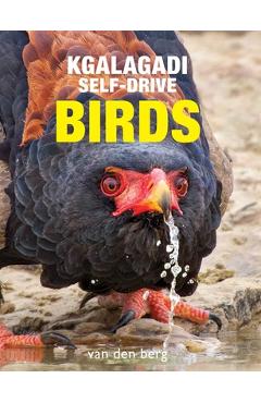 Coperta cărții 'Kgalagadi Self-Drive Birds - Philip And Ingrid Van Den Berg'