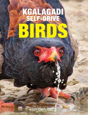 Kgalagadi Self-Drive Birds - Philip And Ingrid Van Den Berg