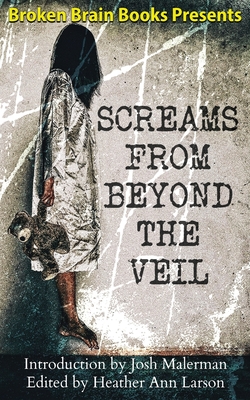 Screams From Beyond The Veil: A Horror Anthology - Heather Ann Larson