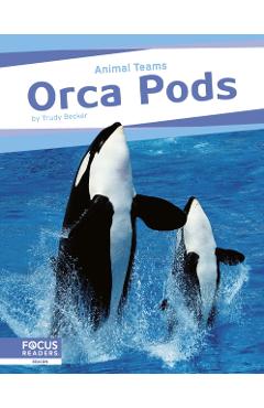 Poza produsului Orca Pods - Trudy Becker