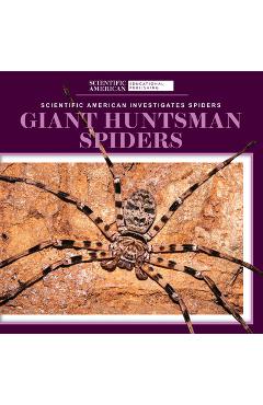 Giant Huntsman Spiders - Roxanne Aldolpho
